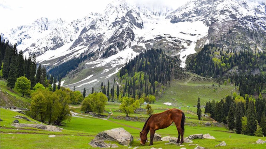 Beautiful Places in India - Kashmir